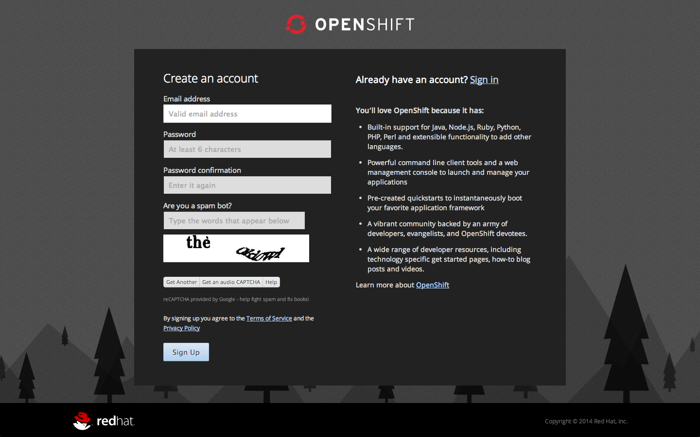 1.3 DV OpenShift.png