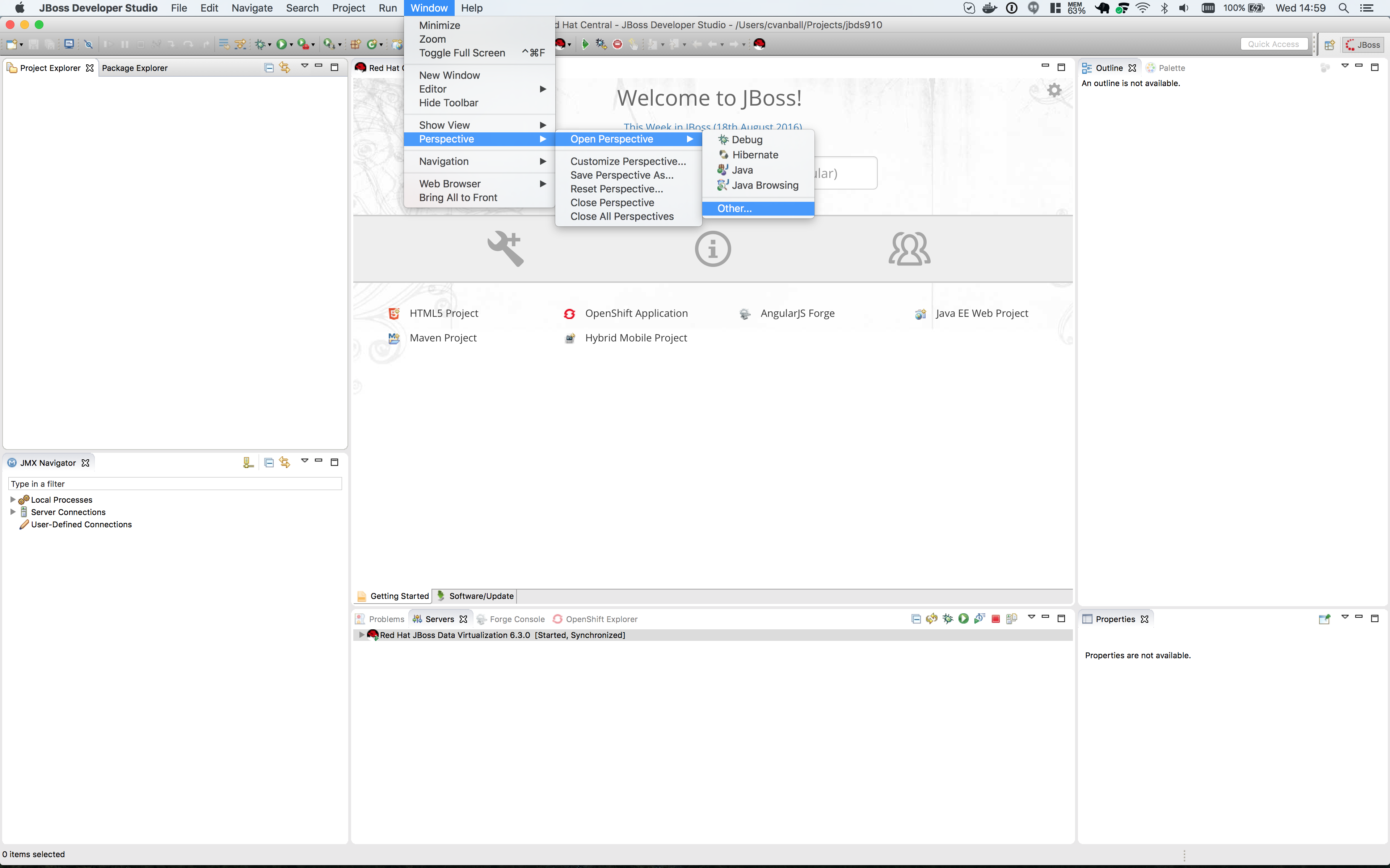 2.3 JBDS perspective.png