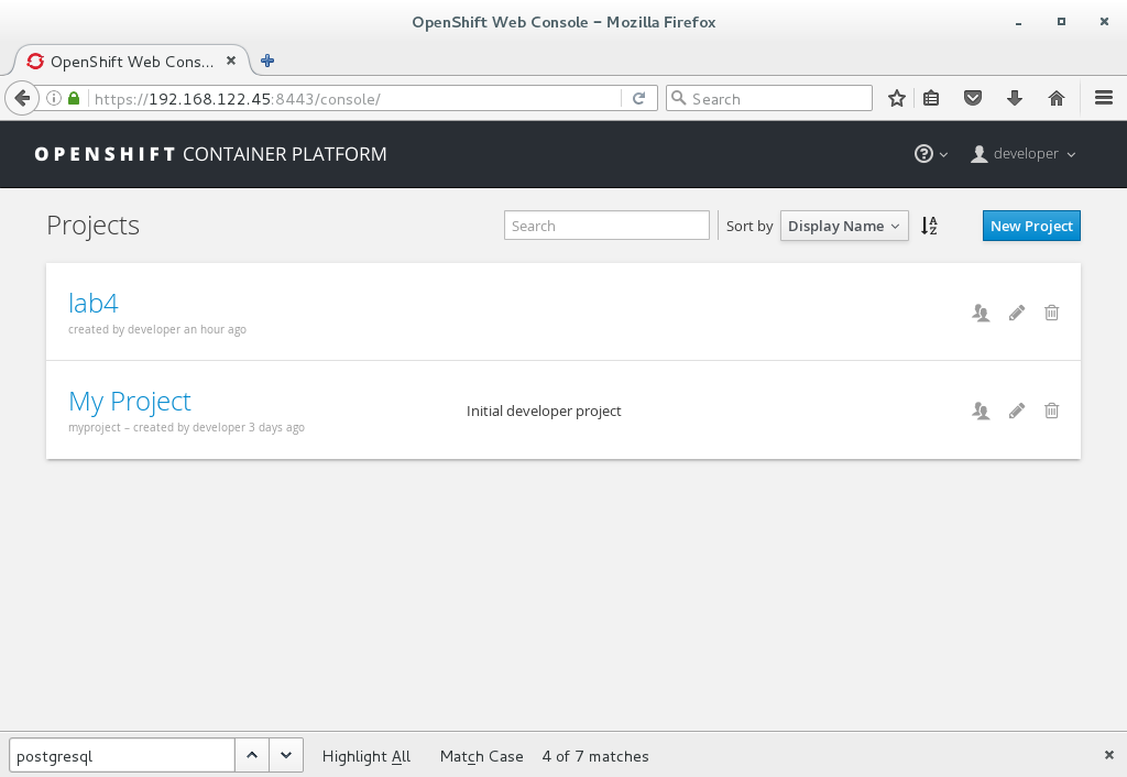 images/lab4-console-project.png
